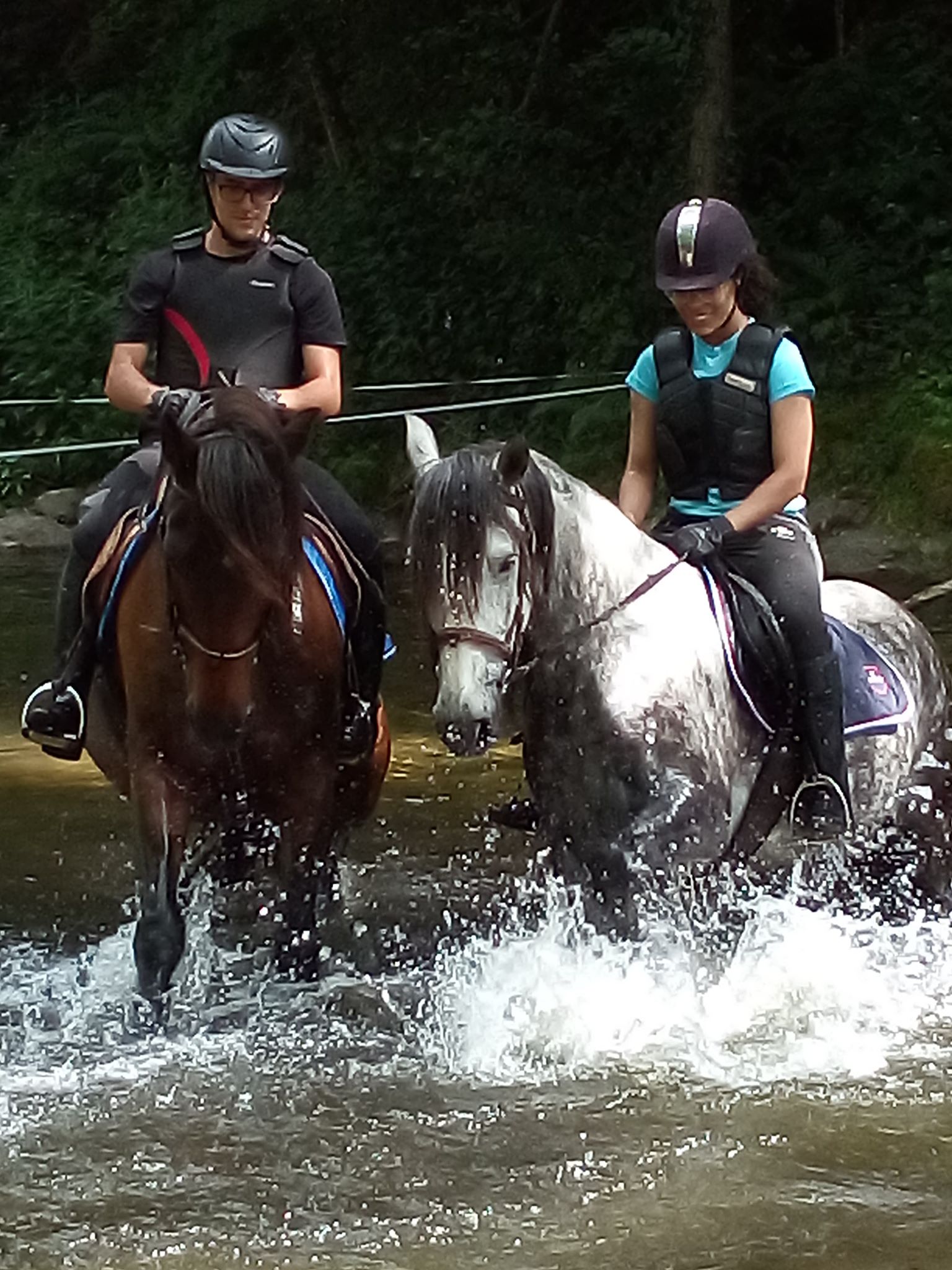 stage equitation