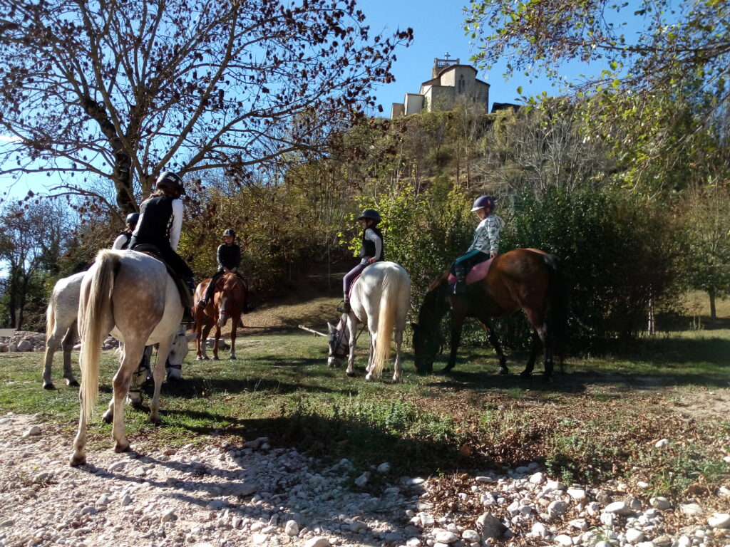Les Balades à cheval en Ardèche : Les classiques - Le centre équestre vous propose des promenades d’1h30 à 3H et des sorties d’1 journée...