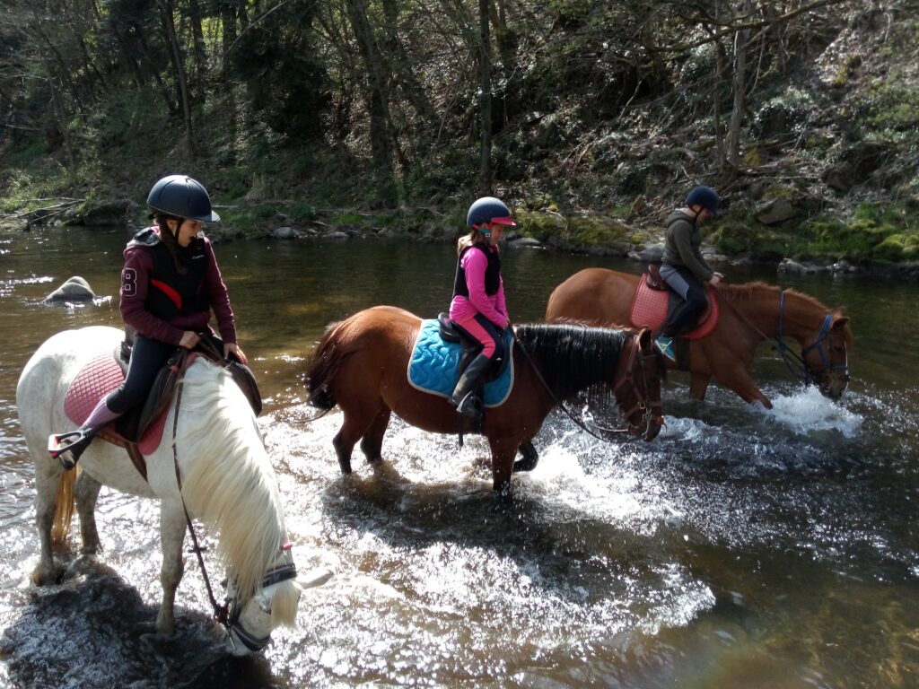 Centre Equestre & École du cheval - Le Vergier en Ardèche - Cours, Balades, Randonnées, Pensions & Gîtes - rando_désaignes