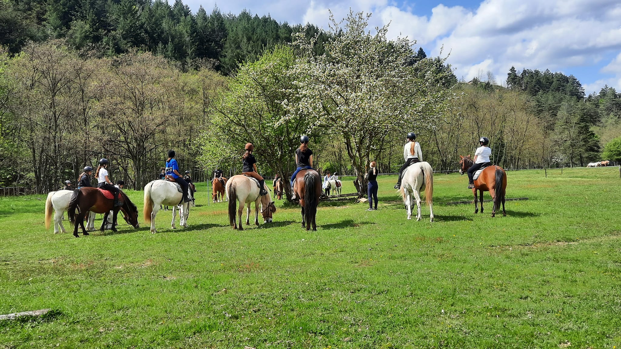 Evenements stages